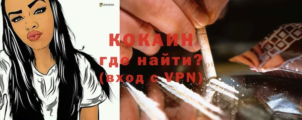ГАЛЛЮЦИНОГЕННЫЕ ГРИБЫ Новозыбков