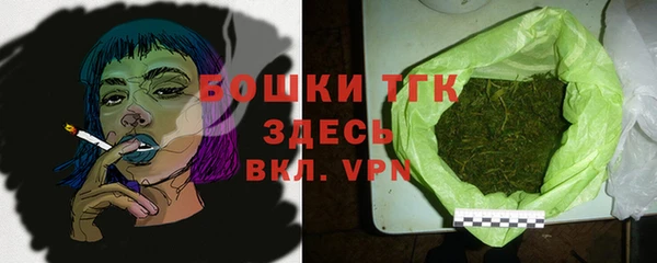 spice Новодвинск