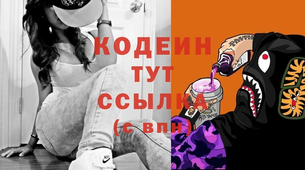 ГАЛЛЮЦИНОГЕННЫЕ ГРИБЫ Новозыбков