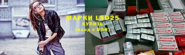 spice Новодвинск