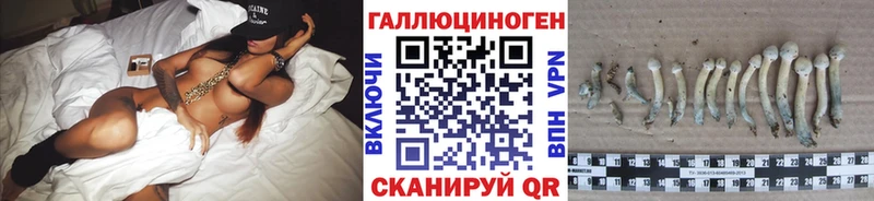 Галлюциногенные грибы MAGIC MUSHROOMS  Новоалександровск 