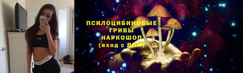 купить закладку  Новоалександровск  OMG ссылки  Псилоцибиновые грибы MAGIC MUSHROOMS 