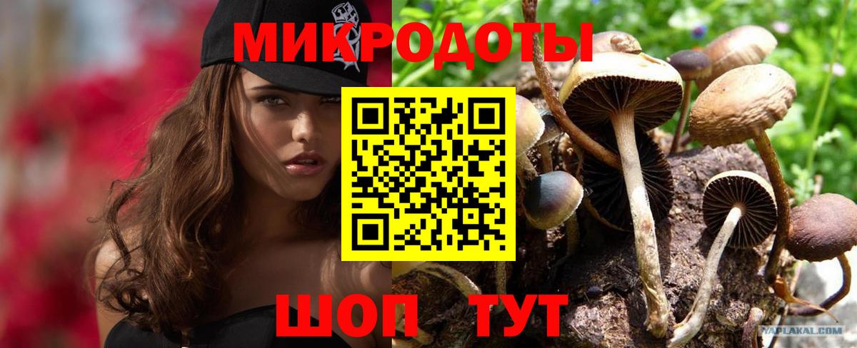 Галлюциногенные грибы Magic Shrooms Новоалександровск