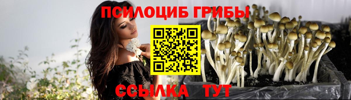 Галлюциногенные грибы Magic Shrooms  Вход с VPN  Новоалександровск 