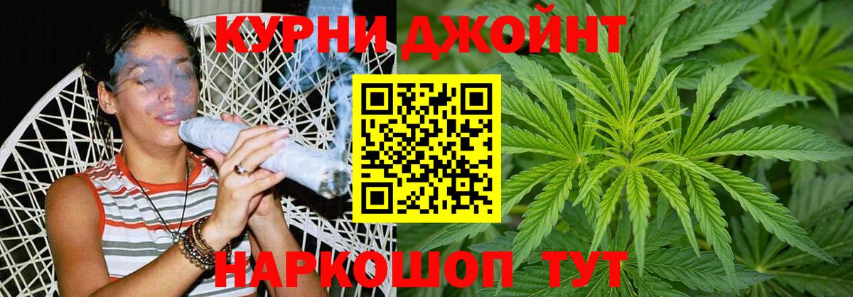 Бошки Шишки планчик Новоалександровск